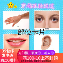 Autism autism ABA teaching practice card part gesture card Childrens rehabilitation training teaching aids