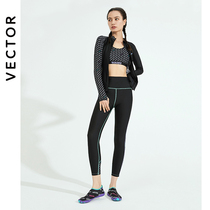 VECTOR New Diving suit Womans Length Trouser Conservative Skin Set Sunscreen Dry Snorkel Surf Swimsuit