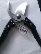 Gardening scissors floral cutting edge sharpened garden floral material thickened short blades for easy construction of two color landscaped scissors