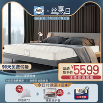 Sealy Sealy mattress Beauty induction spring mattress rigid ridge protection 1 5m1 8m bed dream classic