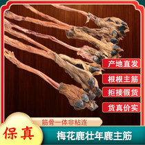Zhuo deer with hoof Deer tendon Whole deer tendon with hoof deer tendon can be used with antler deer whip wine soup
