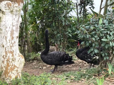 淘宝几年才知道原来评论85个字才会有积分。所以从今天到以后，这段话走到哪里就会复制到哪里。首先要保证质量啊，东西不赖啊。不然就用别的话来评论了。不知道这样子够不够85字。谢谢老板的认真检查。东西特别好，我不是刷评论的，我是觉得东西好我才买的，你会发现我每一家都是这么写的。因为复制一下就好了。