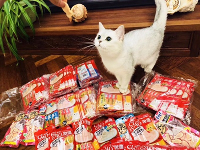 新的一年，愿你拥有最舒服的生活状态。温柔有趣不必太激烈，三餐四季不必太匆忙，心中有爱，钱包有钱，脚下有路。  新的一年，愿你工作顺利，步步高升。经历过世事沧桑，内心仍然充满积极向上的希望。  新的一年，愿你父母安康，家人相伴。多陪陪父母，常回家看看。  新的一年，愿你爱情顺利，婚姻美满。会遇见一个人，给你彻头彻尾的理解和无条件的支持，在你累的时候拉着你一起走，永远不放手。  新的一年，愿你能成为更好的自己。过去的一年，真的辛苦了；未来的一年，好好爱自己。去想去的地方，去勇敢地爱与被爱，去过想要的生活。  新的一年，愿你一切顺利，平安快乐。每一夜都能干干净净、心安理得、筋疲力尽地入睡，每一天也能清清爽爽、心平气和、精神充沛地醒来。  新的一年，愿你三冬暖，愿你春不寒。愿你天黑有灯，下雨有伞。愿你一路上，有良人相伴。  新的一年，愿你拥有最理想的生活  不问长远，只争朝夕[心]  来源/一读