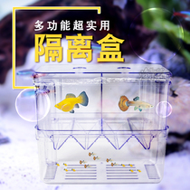 Aquarium Guppy isolation box Incubation box Anchovy female fish Small fish tank breeding box Large female fish incubator