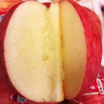 Authentic Xinjiang West Shanghai Aksu Ice Glad Apple Gift Box Fruit 8 kg fresh crisp red fuji