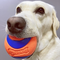 American Petmate Ball Pet Bite SlowSports Outdoor Sound Stretch Rope Training Chuckit Dog Toy Ball