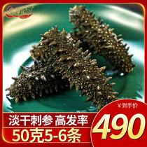 Shifuji Dried sea cucumber Dried thorn ginseng light dried Dalian dried goods gift seafood Seafood dried goods