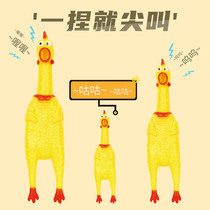 The Screaming Chicken Scream Chicken Toy Decompression is called Chicken Pooch is called and the chicken pooch pet is resistant to biting toys.