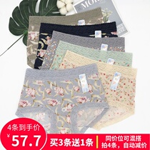 Daisy girl womens underwear medium and high waist summer ice silk shorts breathable sexy medium and large version lace briefs