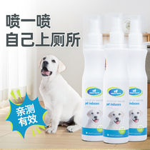 Dog-inducing agent bowels on the toilet anti-urine-urine pull-in-point defecation to guide the booby-training liquid deity