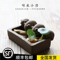 Four little pigs drink water boutique ornaments can be raised Yixing Duan Mud creative handmade Zen Four pigs tea pet tea play