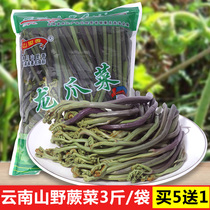 Yunnan specialty wild vegetables and ferns 3 kg bag brewed fresh dragon claw vegetables cold salad Ready-to-eat marinated water ferns cold dishes