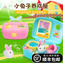 Little White Rabbit Fur Suede Toy Girl Electric Will Be Called Doll Paparazzi Pet Small Chicken Cloth Doll Number Birthday Gift