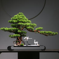 New Chinese Emulation Greet Guests Pine Pendulum Pieces Soft Decorations Zen Living-room Office Xuanguan TV Cabinet Creative Furnishing