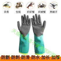 Catch crab gloves anti-cut waterproof special tool anti-slip anti-slip anti-clamp wash lobster thicken and kill fish