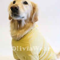 Japanese large dog Big dog Golden retriever Bra Bra sweater Super stretch hoodie Cute cartoon pet clothes