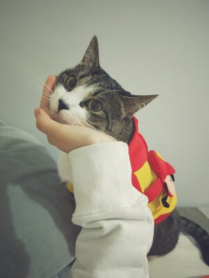 棒棒哒,真的好好看,从来没买过这么性感的内衣,但是这个好像对大胸妹子不太友好,我可能需要减减肥才能套住,但是就算我穿不了也一样喜欢啊,加油减肥!!!! 棒棒哒,真的好好看,从来没买过这么性感的内衣,但是这个好像对大胸妹子不太友好,我可能需要减减肥才能套住,但是就算我穿不了也一样喜欢啊,加油减肥!!!!