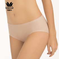 Wacoal Simple and comfortable seamless briefs WP3428