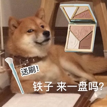 TIMAGE Master Caitang high-gloss repair pan Tang Tang Yi pro-research three-color one-piece pan matte glitter nose shadow shadow