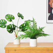 Nine-th simulation green plant ceramic potted biomimetic fake turtle back leaf fern-type bonsai shop window decoration art275