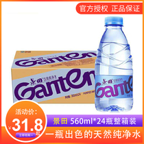 Jingda Large Bottle Pure 560ml Drink 360ml * 24 Bottles of Drinks Entire Box Wholesale Small Mineral Water