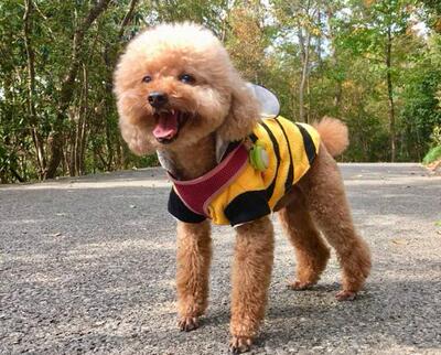 不错不错不错不错不错不错不错不错不错不错不错不错不错不错不错不错不错不错不错不错不错不错不错不错不错不错不错不错不错不错不错不错不错不错不错不错不错不错不错不错不错不错不错不错不错不错不错不错不错不错不错不错不错不错不错不错不错不错不错不错不错不错不错不错不错不错不错不错不错不错不错不错不错不错不错不错不错不错不错不错 很好