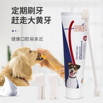 Terressee Edible Toothpaste Toothbrush Suit Pet Pooch Removal of Odorant Tooth Stones Brush Tooth Scale Cleaning Teeth supplies