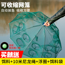 Fishing fishing shrimp cages fishing fishing fish cages fish cages only in and out of fishing.