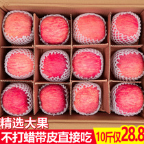 Shaanxi Luochuan apple fruit fresh ugly apple whole box of red Fuji 10kg rock sugar big fruit season