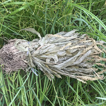 Six dispensers See sera grass 250 gr farmyard dry goods with root goats ear garlic See blood Qinglidy good Chinese herbal medicine