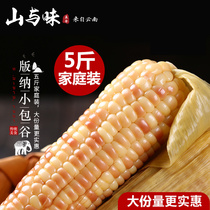 Mountain and flavor Xishuangbanna small corn Yunnan Banna Xiangwaxy small corn Bao Valley fresh sweet waxy 12~14