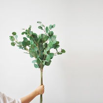 Nordic Natural Wind Emulation Green Planting Round Leaf Eucalyptus Galilee Home Tabletop-like Decorative Floral F585