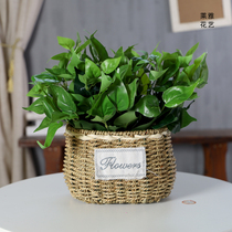 Simulation green rosette simulation leaves office table plastic fake flowers and plants green leaves potted green living room Indoor