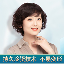 Wig short hair female curly hair middle-aged and elderly lady full-length wig mother full hair wool roll wig set