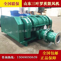 Supply vacuum packaging heavy calcium powder cement flour conveying special negative pressure Roots vacuum pump Roots Blower