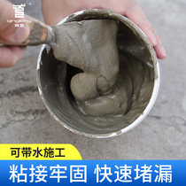 Green Dragon Cement Ground Repair Roof Cracks Leak King Drain Water Drain Toilet Stenodry Cement Piping Supplement