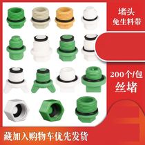 ppr4 points inner and outer wire plug outer teeth plug free of raw material with water pipe fittings PPR pipe plug 6 points 1 inch 20 stuffy head