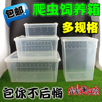 Reptile feeding box Climbing pet box Turtle cylinder Spider scorpion BAO WEN lizard horned FROG pet feeding box cylinder
