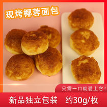 Now Roast Coconut bread Nutritional Breakfast Net Red Recommended Food Student Dorm small snack Snack Whole Box