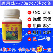 Fish oxytetracycline aquarium Ornamental Fish Fish Fish Fish Fish Fish medicine disease treatment