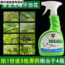 Insecticide Flowers Plants Generic Flowers And Flowers Red Spider aphids Cocks Shell Bugs Special Multimeat Pythons Drug Home Floral Meds