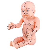 Pediatric massage model massage human body with acupoint doll Yuesao training Chinese medicine Meridian simulation baby hand