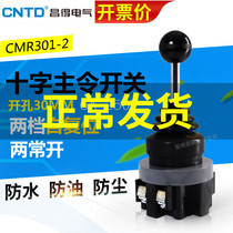CNTD Changde cross switch main order switch 2 gear self-reset CMR 301 2 power switch rocker switch