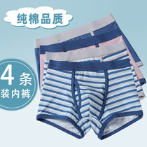 Childrens underwear boys boxer pants middle school children 10 cotton 12 junior high school students 13 boys children shorts 15 years old