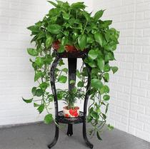 Floor-to-ceiling green dill flower rack Living room long rattan single Nordic economical fashion white household shelf balcony