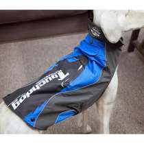 Touchdog Outdoor Waterproof Large Dog Clothing Pets Winter Gold Mulla Aska Dog Plus Large Dog