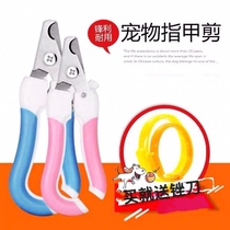 Pet Rabbit Dutch Pig Dragon Cat Squirrel Nail Pliers Grinders Stainless Steel Small Cat Dog Pet Nail Clippers