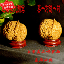 Buy a new game to play wild old iron walnut short pile lion head Toad head deep