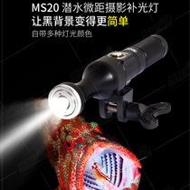 Scubalamp MS20 Diving Photography Micro-Pitch Complementary Light Lamp White Red Purple Green Four Light Black Background Micropitch