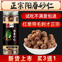Yangchun Sand Ren Authentic Spring Sand Ren Spring Sand Ren Yangchun specialty Spring Sand Ren Yang Chinese herbal medicine stomach soup 100 grams